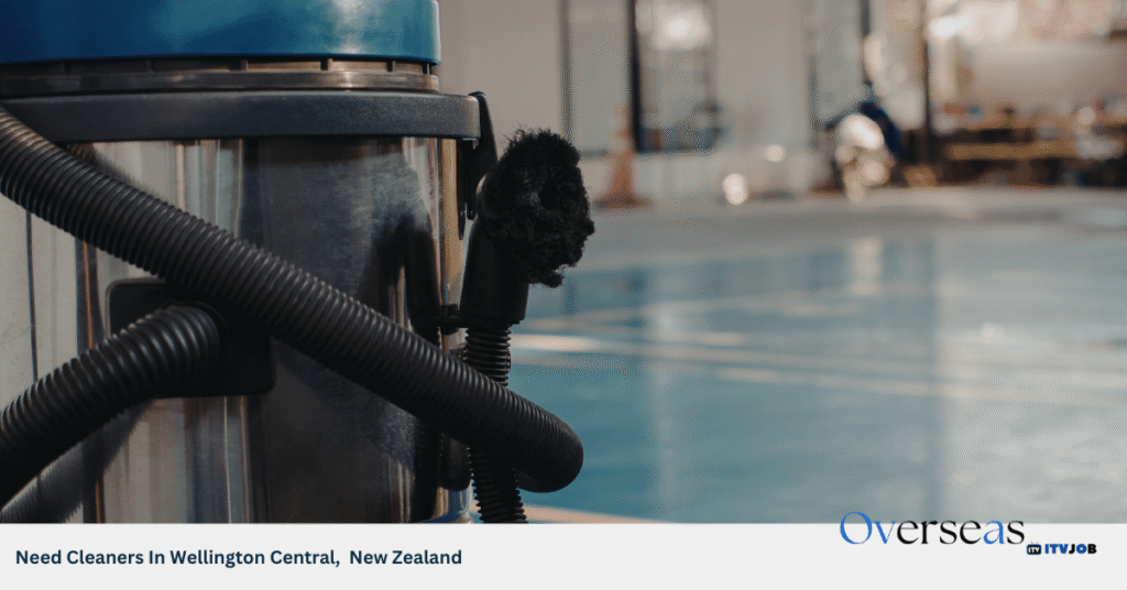 Need Cleaners In Wellington Central, New Zealand