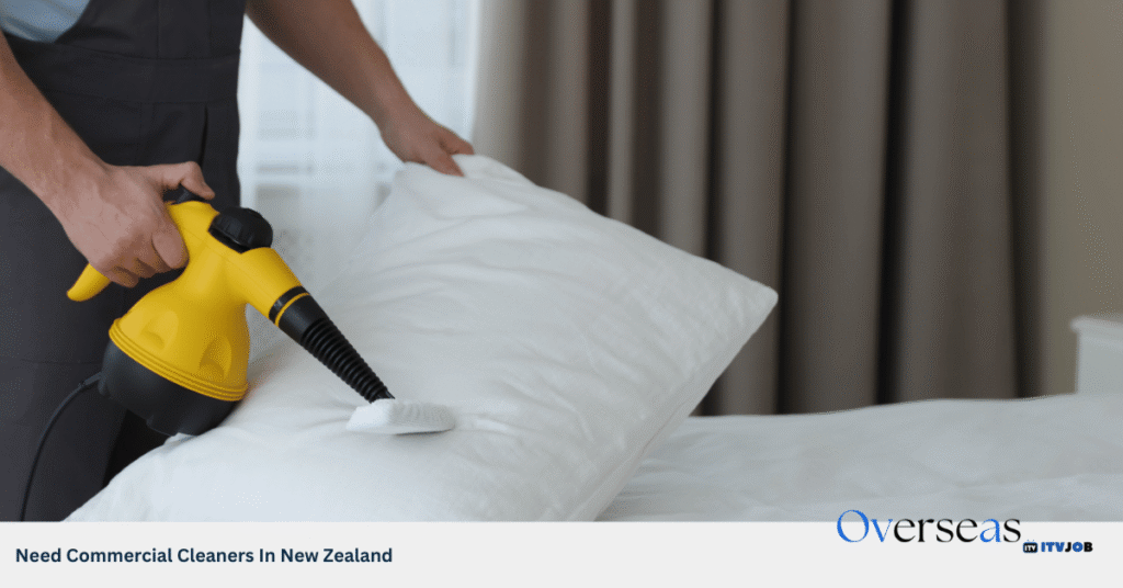 Need Commercial Cleaners In New Zealand