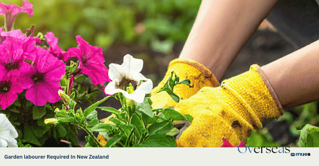 Garden labourer Required In New Zealand
