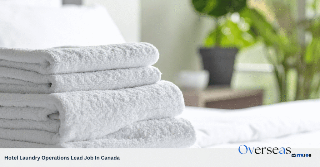 Hotel Laundry Operations Lead Job In Canada