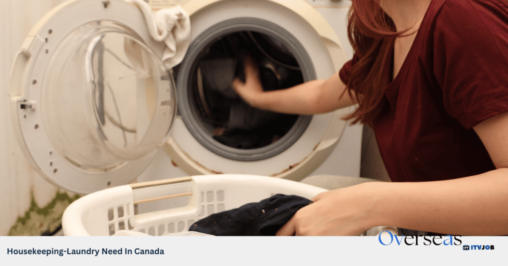 Housekeeping-Laundry Need In Canada