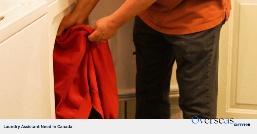 Laundry Assistant Need In Canada