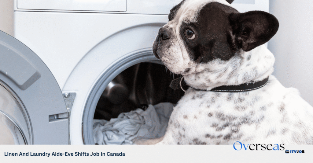 Linen And Laundry Aide-Eve Shifts Job In Canada