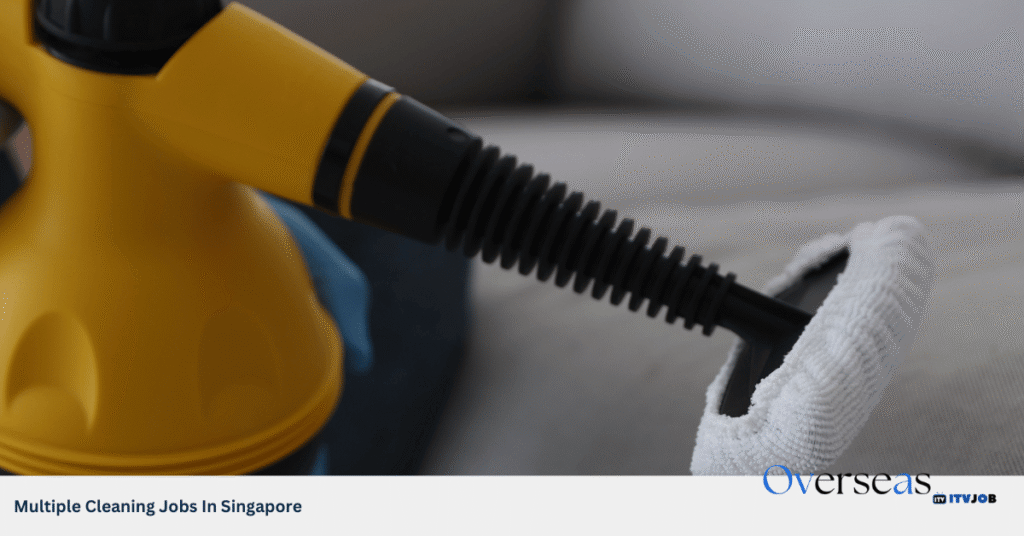 Multiple Cleaning Job In Singapore