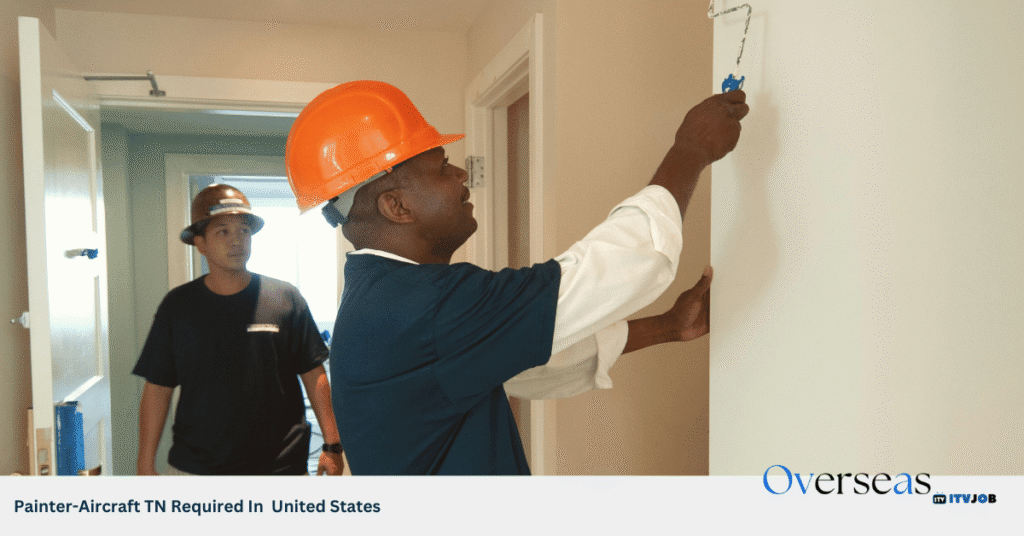 Painter-Aircraft TN Required In United States