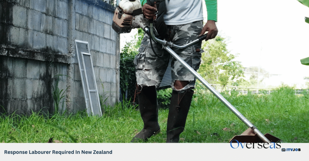 Response Labourer Required In New Zealand