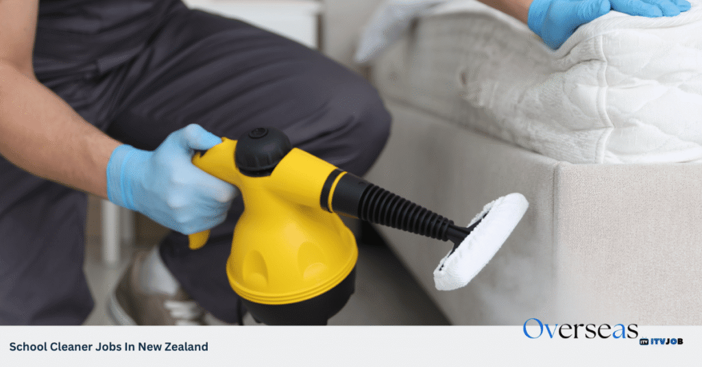 School Cleaner Jobs In New Zealand