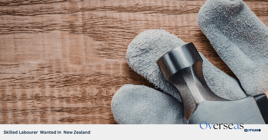 Skilled Labourer Wanted In New Zealand