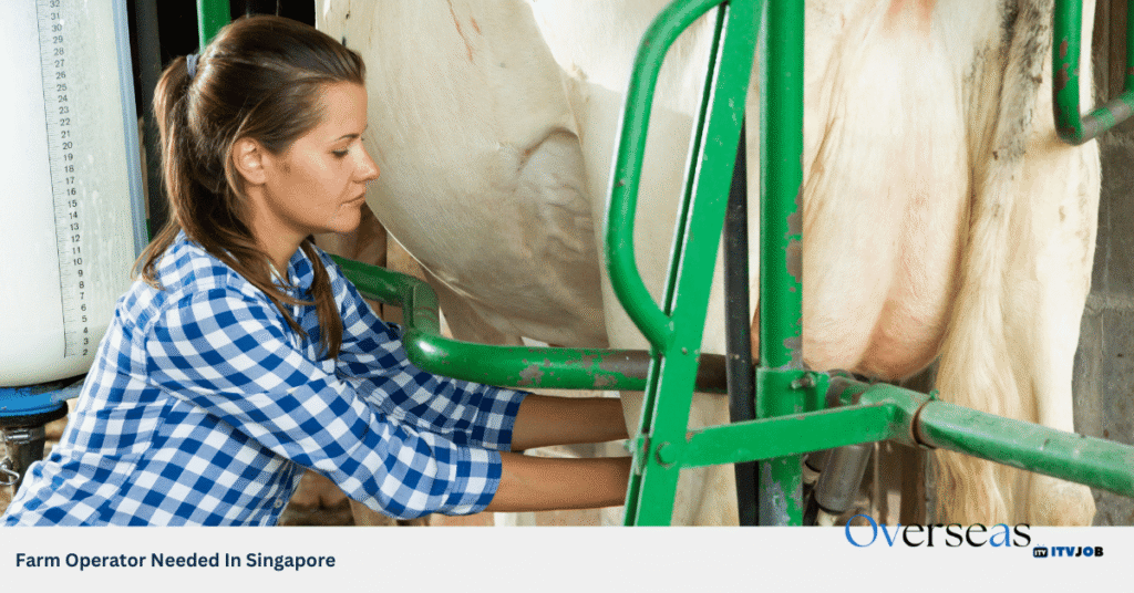 Farm Operator Needed In Singapore