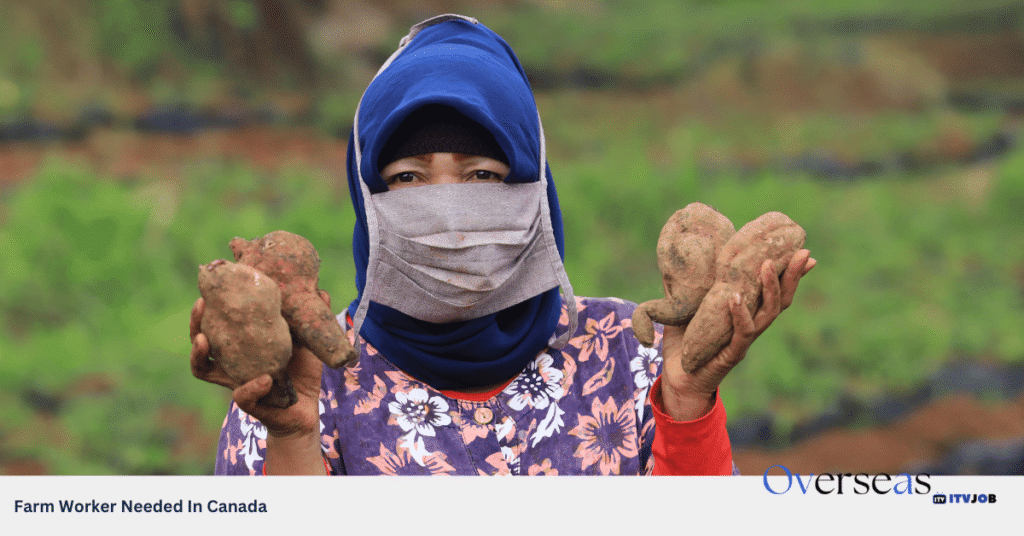 Farm Worker Needed In Seaforth, ON, Canada