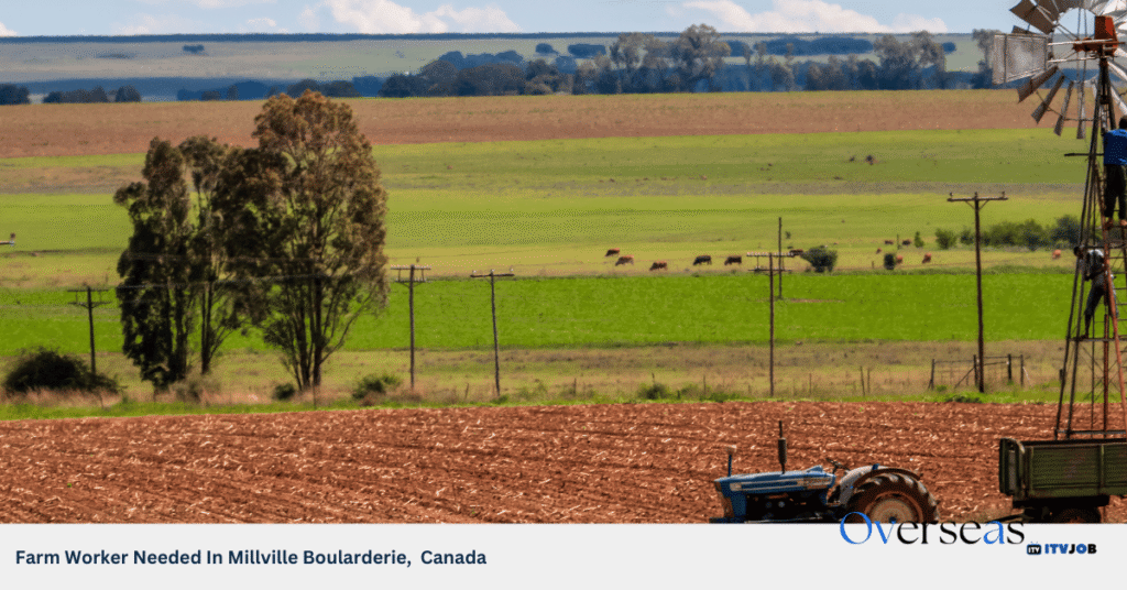 Farm Worker Needed In Millville Boularderie, Canada
