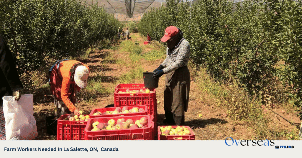 Farm Workers Needed In La Salette, ON, Canada