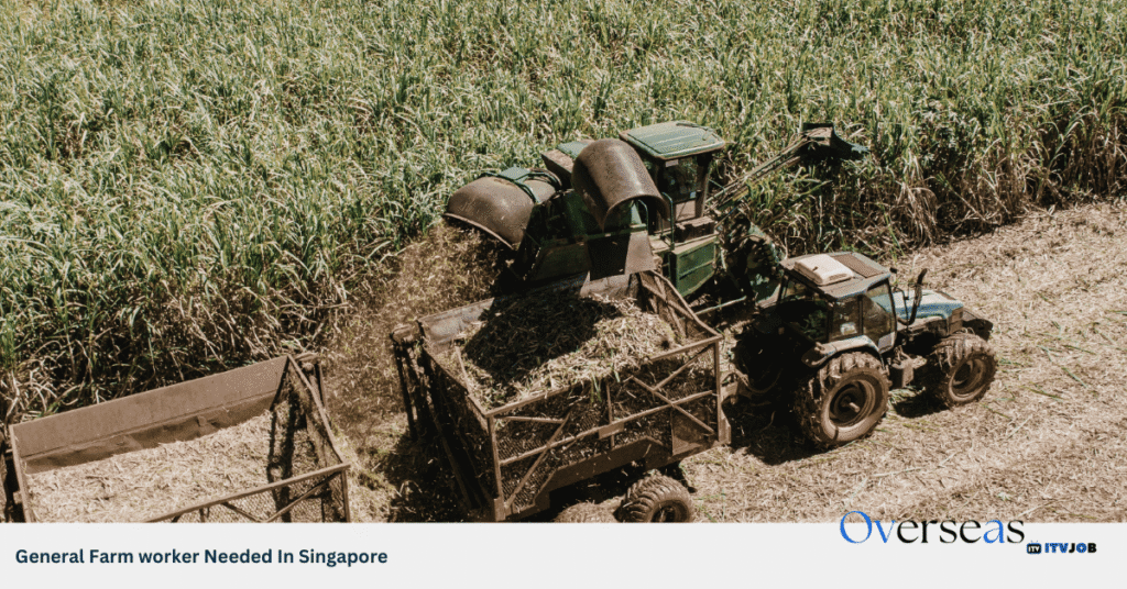 General Farm worker Needed In Singapore