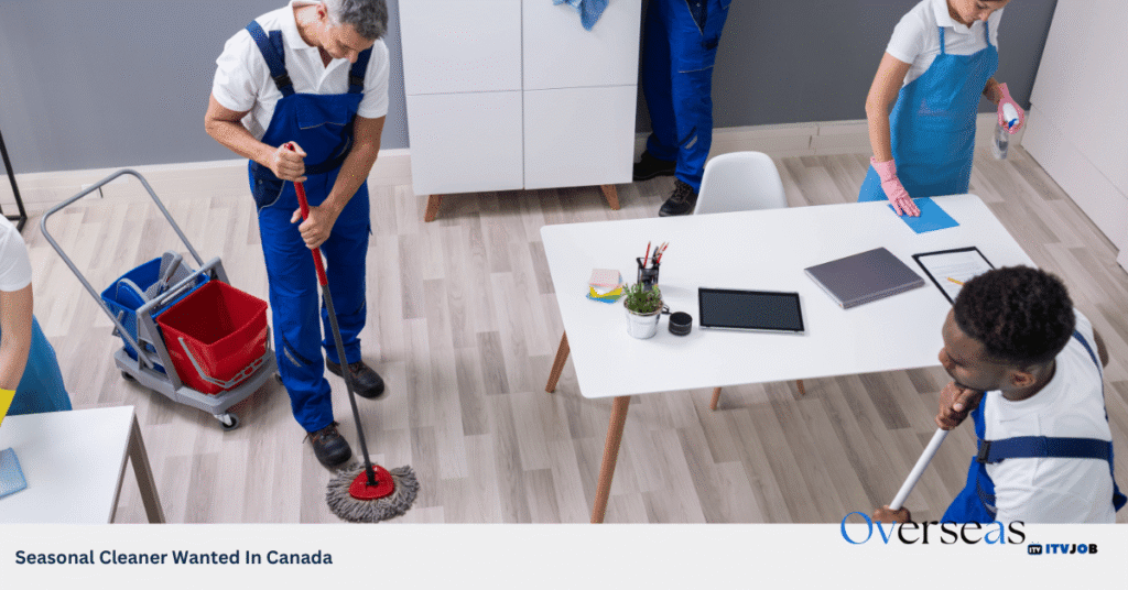 Seasonal Cleaner Wanted In Canada