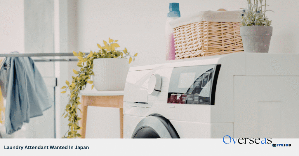 Laundry Attendant Wanted In Japan