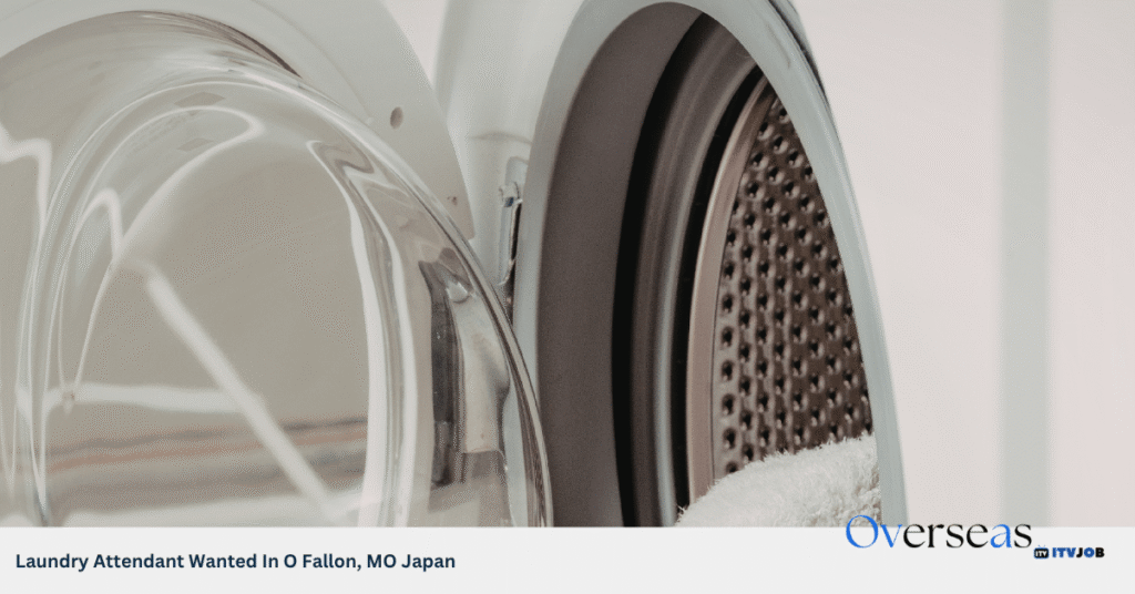 Laundry Attendant Wanted In O Fallon, MO Japan